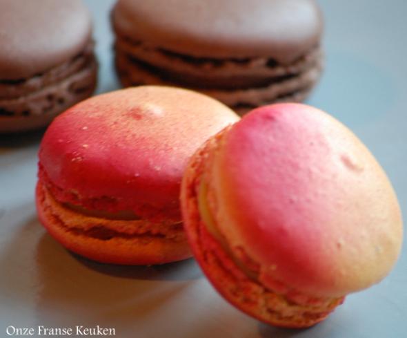 speling Verdampen bewonderen Magnifiques Macarons uit Sarlat - Onze Franse keuken